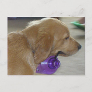 Meine Wasserflasche Postkarte