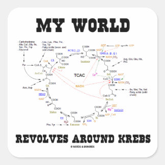 Meine Welt dreht sich um Krebs (Energiezyklus) Quadratischer Aufkleber