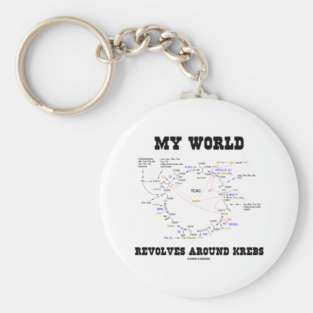 Meine Welt dreht sich um Krebs (Energiezyklus) Schlüsselanhänger (Vorne)
