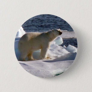 Meine Welt schmilzt! Button
