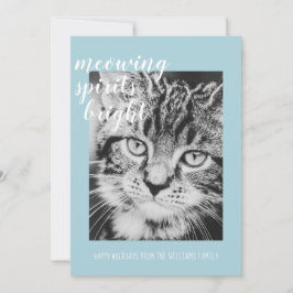 Meining Spirituosen straften Ihren Cat Foto Urlaub Feiertagskarte