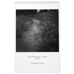 Meist frei (Blume), Band 2, Kalender