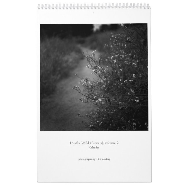 Meist frei (Blume), Band 2, Kalender (Titelbild)