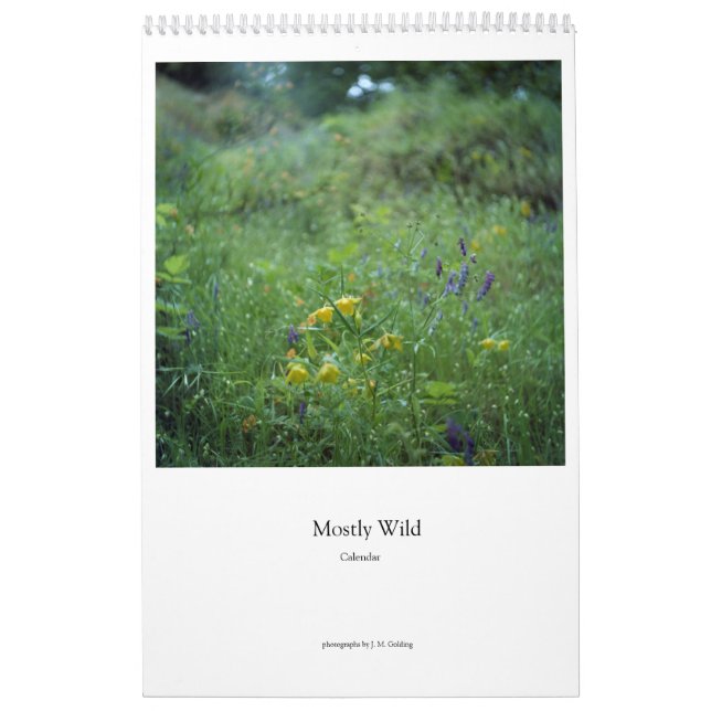 Meist frei (Blume) Kalender (Titelbild)