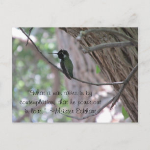 Meister Eckhart Zitat Hummingbird Postkarte
