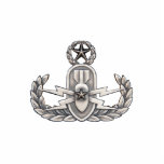 Meister EOD Freistehende Fotoskulptur<br><div class="desc">Ursprüngliches Foto eines Meister-EOD-Abzeichens</div>