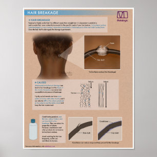 Melalogic Hair Breakfast Medical Poster