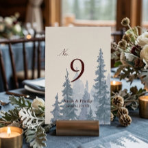 Melancholische Winterhochzeit in der Natur