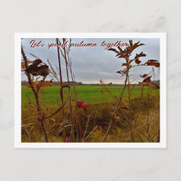 Melancholischer Spätherbst: Rote Hagebutten und gr Postkarte