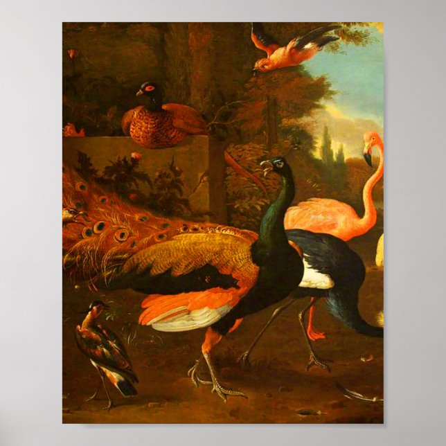 Melchior d'Hondecoeter - Vögel in einem Park Poster (Vorne)