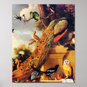 Melchior d'Hondecoeter - Vögel in einem Park Poster