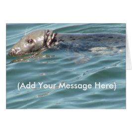 Melden Sie hier die Niedliche Siegel-Karte an