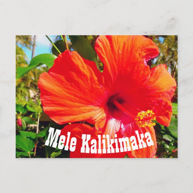 Mele Kalikimaka Postcard Postkarte (Vorderseite)