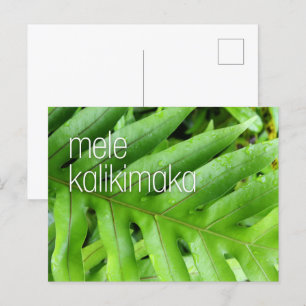 Mele Kalikimaka Weihnachtskarte Frohe Weihnachten