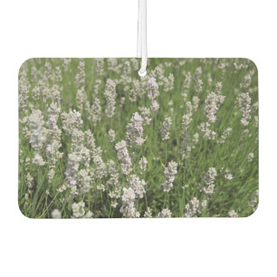 Melissa Lavender Autolufterfrischer
