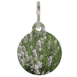 Melissa Lavender Pet Tag Haustiermarke