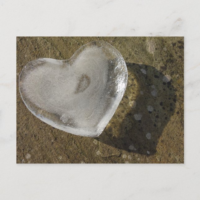 Melkherz Postkarte (Vorderseite)