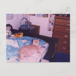 Mellow Katze auf dem Bett Postkarte