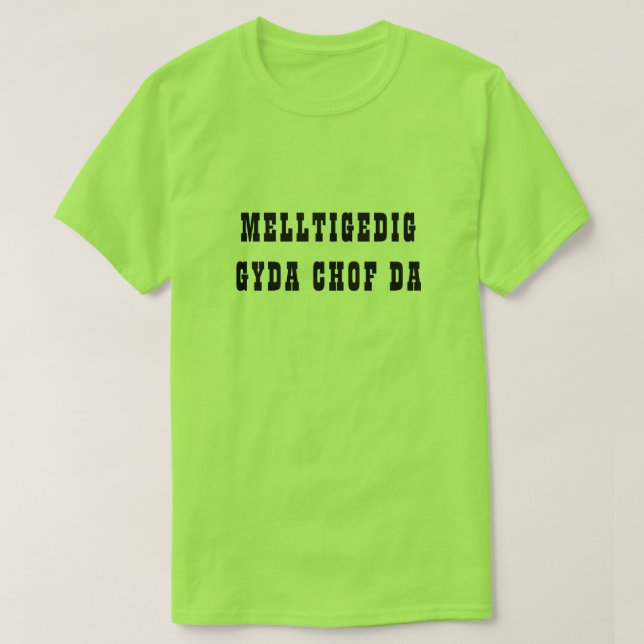 Melltigedig gyda chof da | Verflucht mit gutem Spe T-Shirt (Design vorne)