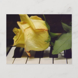 Melodie einer Rose-Postkarte Postkarte