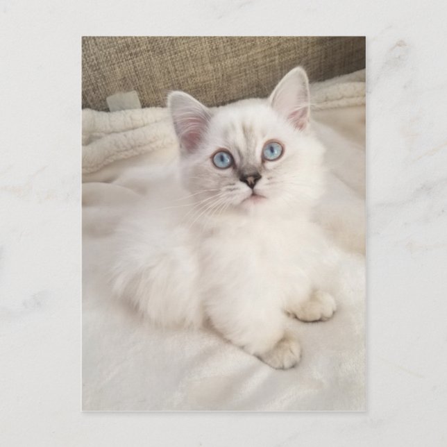 Melodie Postkarte (Vorderseite)