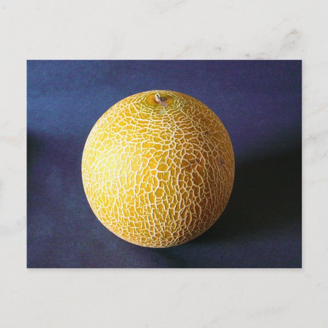Melon / Cantaloupe Postkarte (Vorderseite)