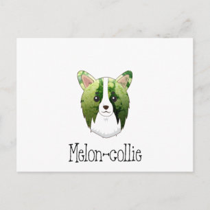 Melone Collie Postkarte