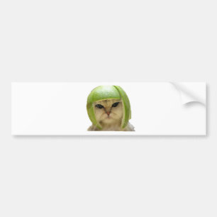 Melonekatze Autoaufkleber