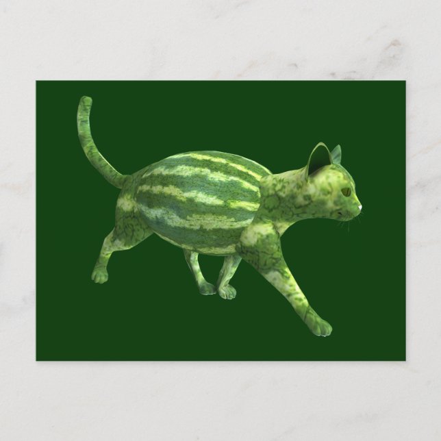 Melons Cat National Watermelon Day Postkarte (Vorderseite)