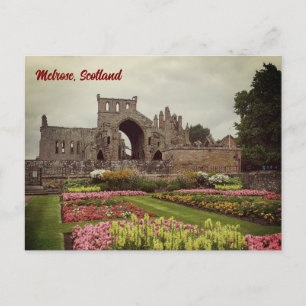 Melrose Abbey Postcard, Schottland Postcard Postkarte