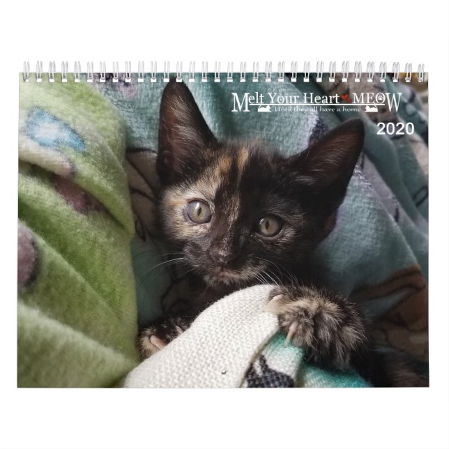 Melt your Herz - MEOW 2020 Kitten Kalender (Titelbild)