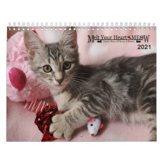 Melt your Herz - MEOW 2021 Kitten Kalender