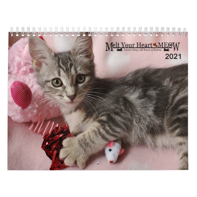 Melt your Herz - MEOW 2021 Kitten Kalender (Titelbild)