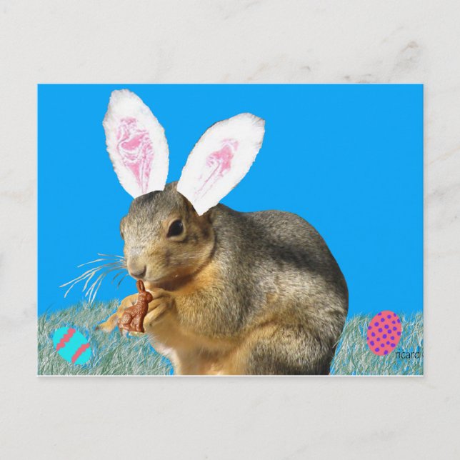Melvin Cottontail Postkarte (Vorderseite)