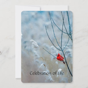 Memberservice laden Kardinal Red Bird ein Einladung