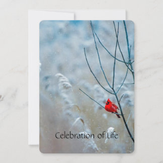 Memberservice laden Kardinal Red Bird ein Einladung