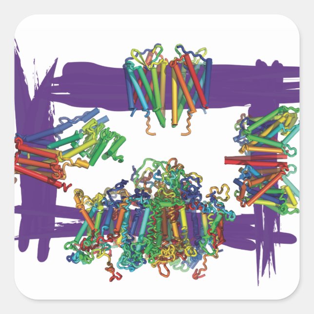 Membran Proteine durch eine Schachtelhalterung Quadratischer Aufkleber (Vorderseite)