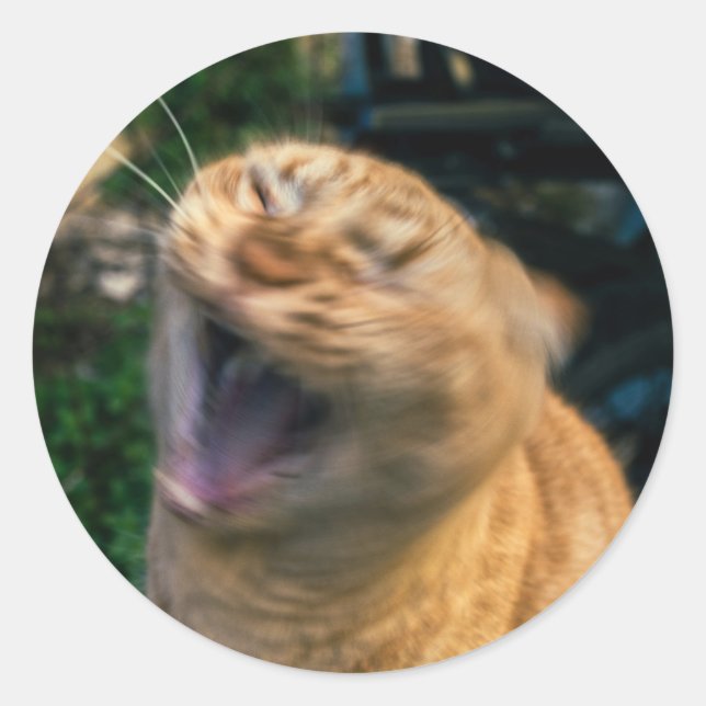 Memekatze Runder Aufkleber (Vorderseite)