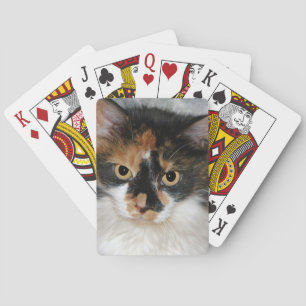 MeMeow Spielkarten