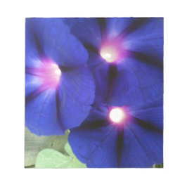 Memo zur Blume des Morning Glory Notizblock