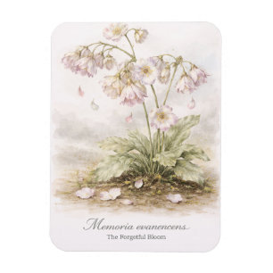 Memoria Evanescens – Die vergessliche Blüte Botani Magnet