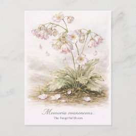 Memoria Evanescens – Die Vergessliche Blüte Botani Postkarte