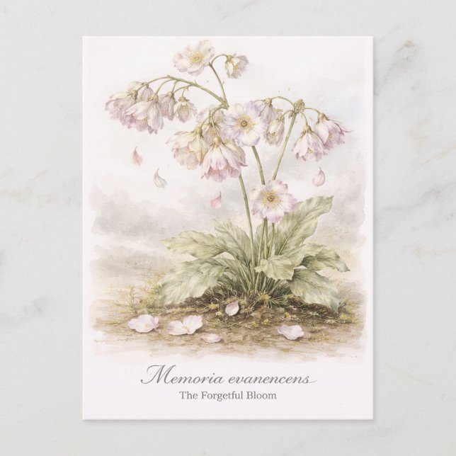 Memoria Evanescens – The Forgetful Bloom Botanical Postkarte (Vorderseite)