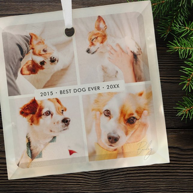 Memorial Bester Hund je Moderne Fotosammlung Ornament Aus Glas (Von Creator hochgeladen)