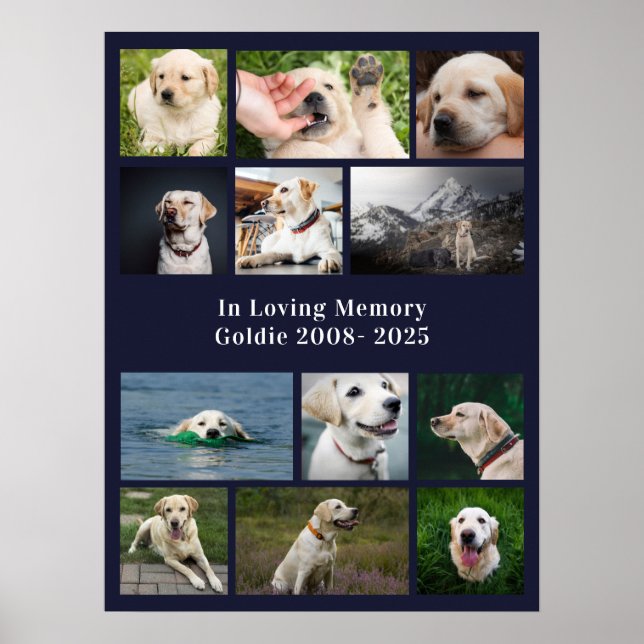 Memorial Custom Dog 12 Foto Poster (Vorne)