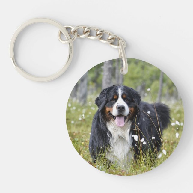 Memorial Custom Hund Foto Rainbow Pet Loss Schlüsselanhänger (Vorderseite)