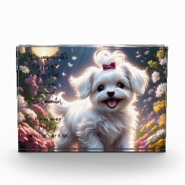 Memorial-Foto für Pet-Loss Fotoblock