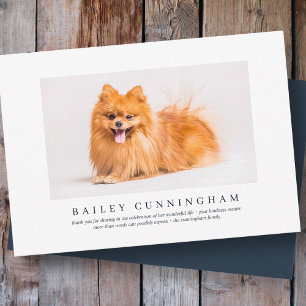 Memorial Funeral For Pet   Elegant Modern Photo Dankeskarte