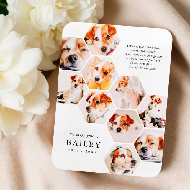 Memorial für Haustiere Moderne einfache 10 Foto Co Magnet (Von Creator hochgeladen)