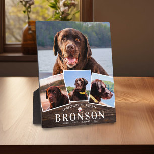 Memorial für Holzpets 4 Bildkollektion Fotoplatte